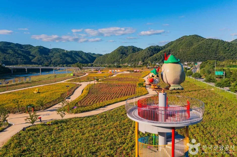 산소카페 청송정원 (3)