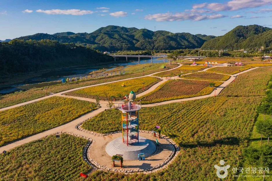 산소카페 청송정원 (4)