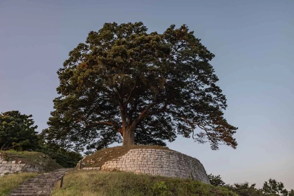 충남_부여_부여가림성_외부_2-4.jpg