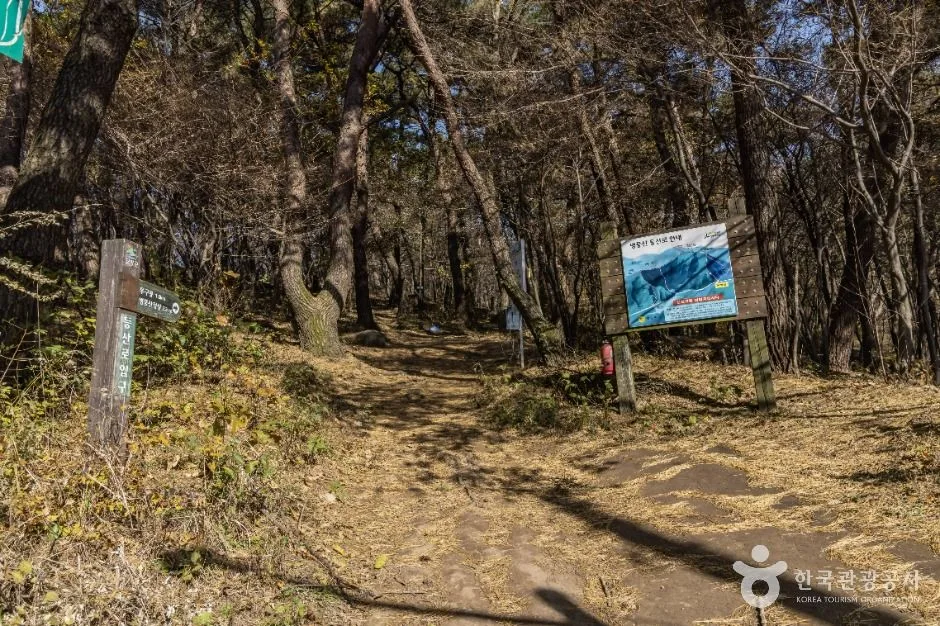 담양_병풍산(담양) (3)