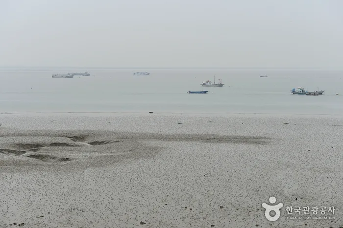 삽교호부터 왜목마을까지, 당진 알짜배기 투어