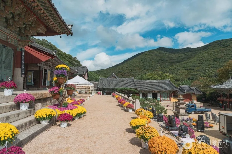 부산_범어사(부산) (5)