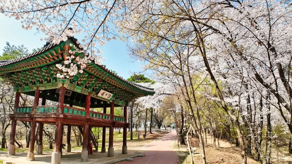 낙화암 (2)