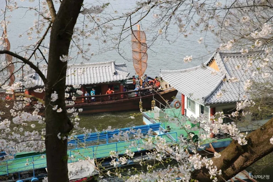 낙화암 (1)