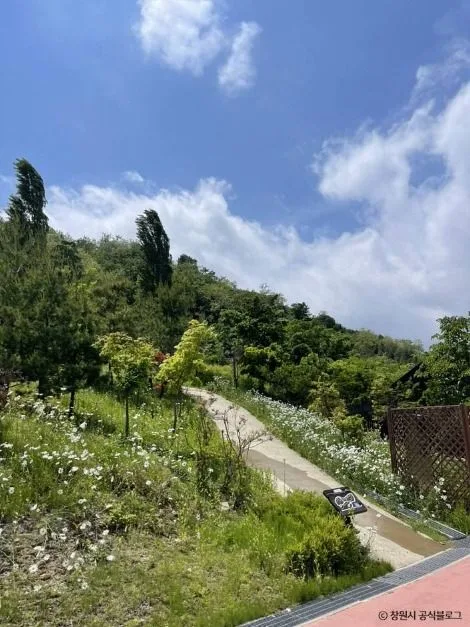 창원_사화공원 (2)