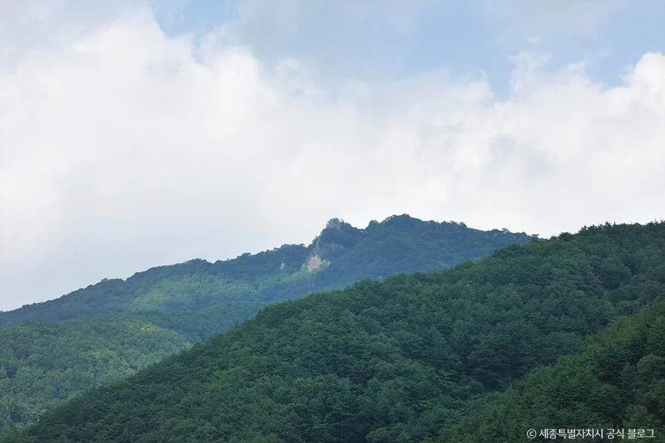 정선_백석봉(정선) (5)