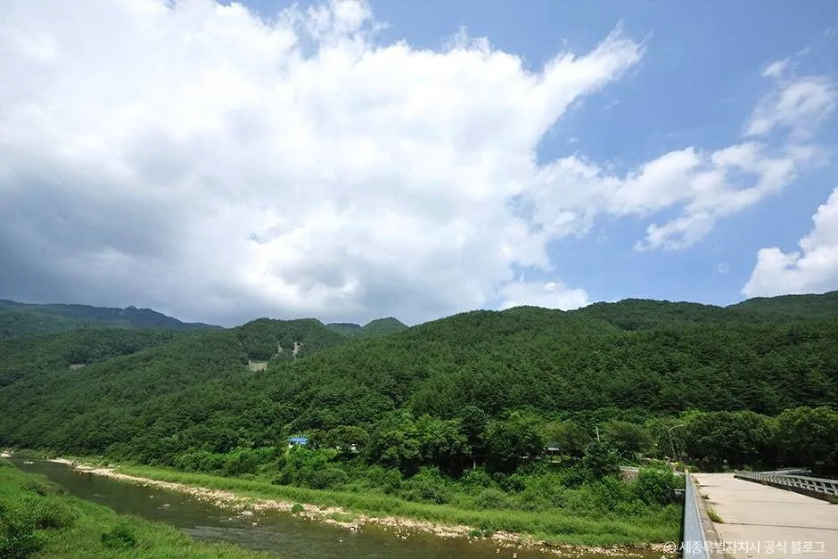 정선_백석봉(정선) (3)