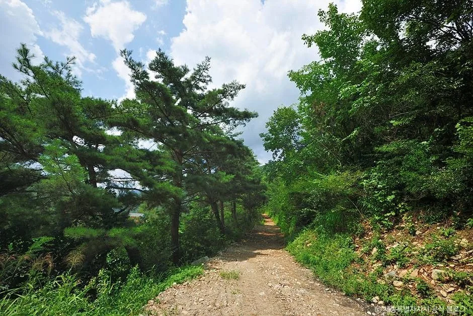 정선_백석봉(정선) (1)