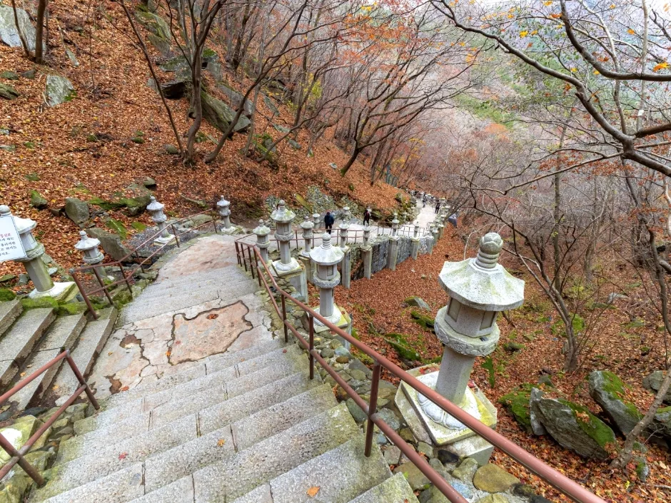 경북_경산_팔공산국립공원(갓바위지구) (6)