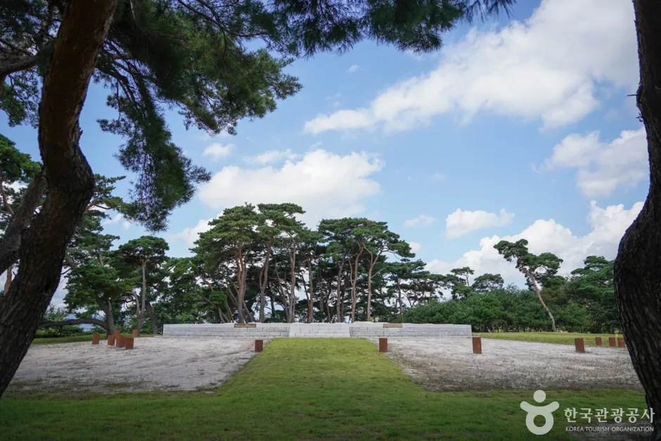 경북_경주_경주 나정 (3)