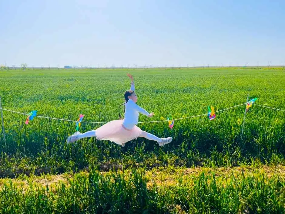 진봉새만금보리밭축제