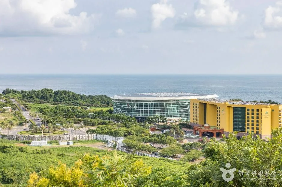 제주의 자연 속에서 나만의 템포로 만끽하는 힐링 타임_제주_서귀포_베릿네오름_1.jpg