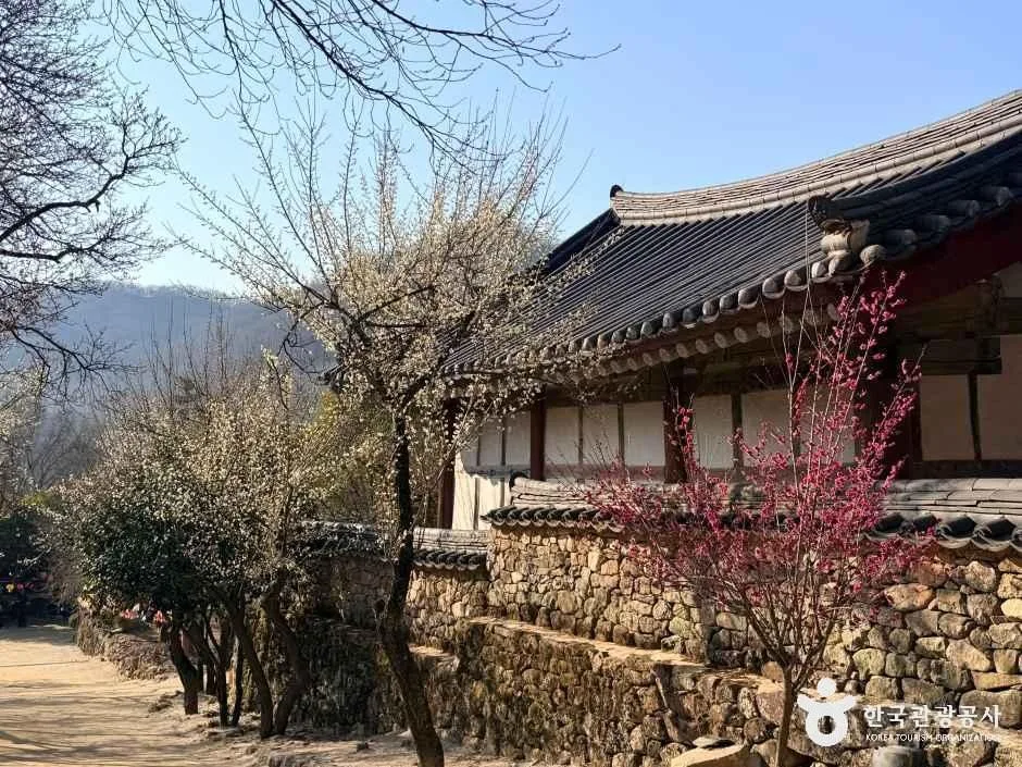 전남_순천_선암사 [유네스코 세계유산]_외부_5.jpg