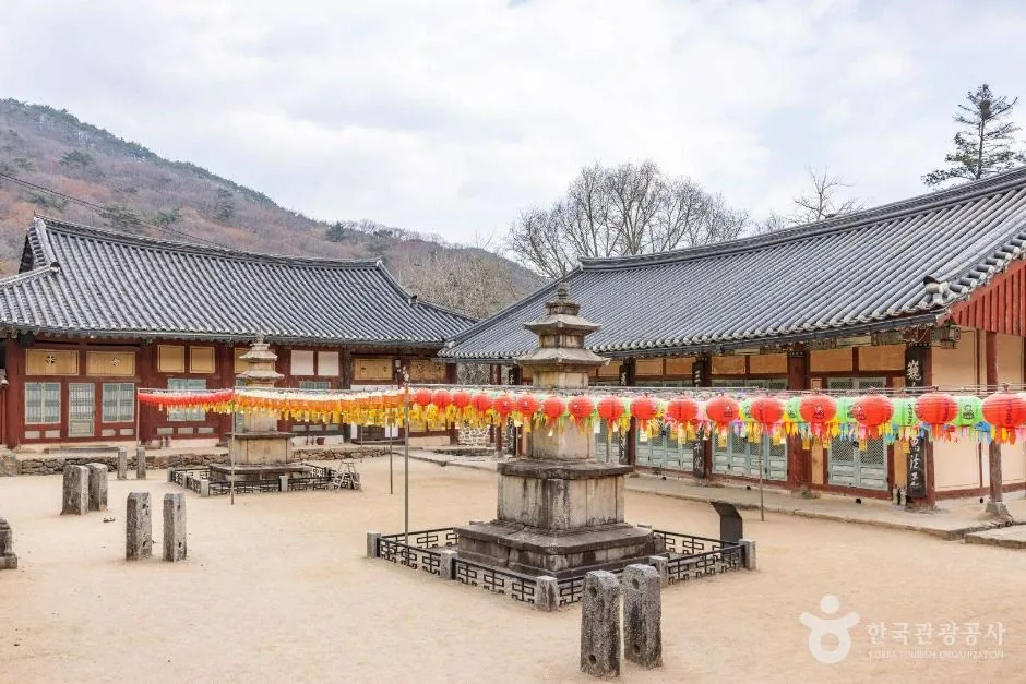 순천_선암사 (7)