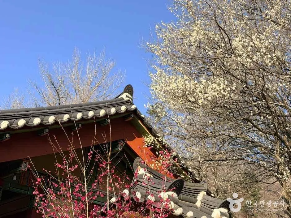 순천_선암사 (10)