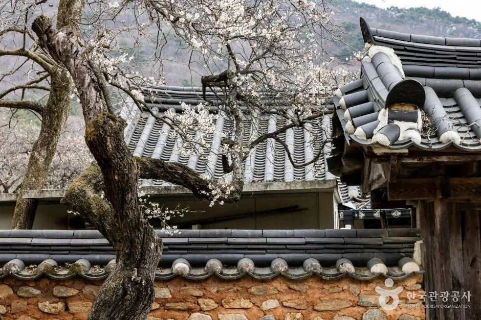 전남_순천_선암사 [유네스코 세계유산]_외부_3.jpg