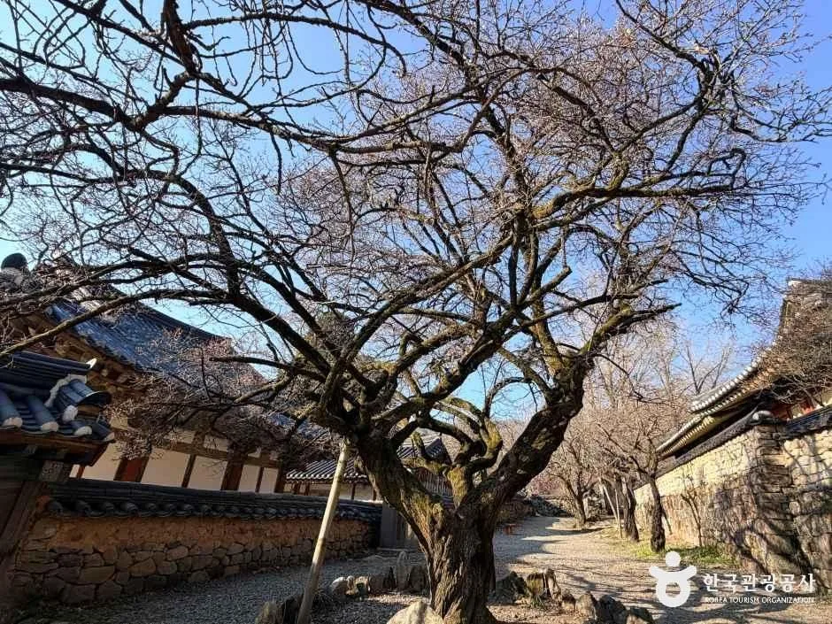 순천_선암사 (12)