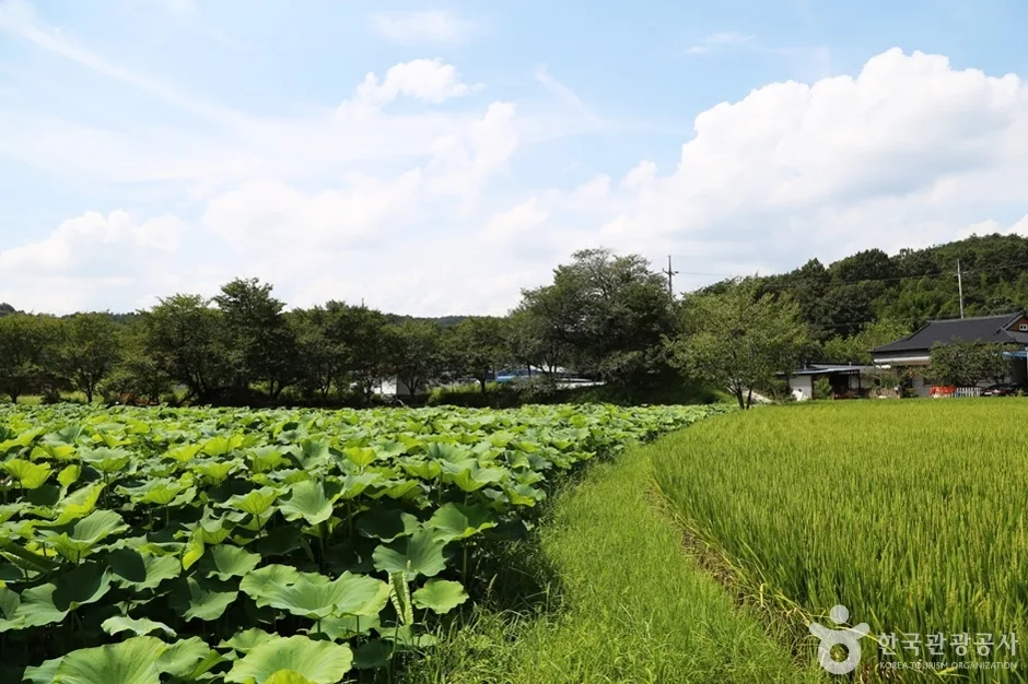경남_진주_용호정원 (6)