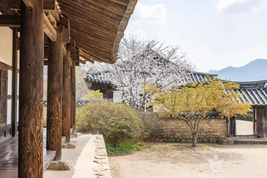 전남광주_순천_순천 낙안읍성_외부_6.jpg
