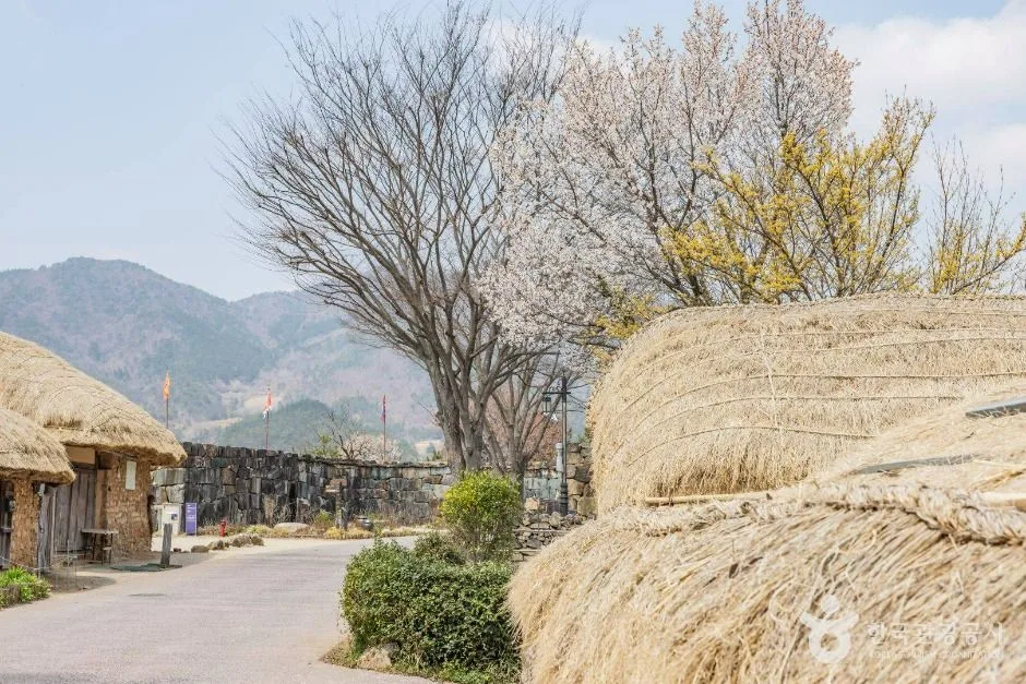 전남광주_순천_순천 낙안읍성_외부_8.jpg