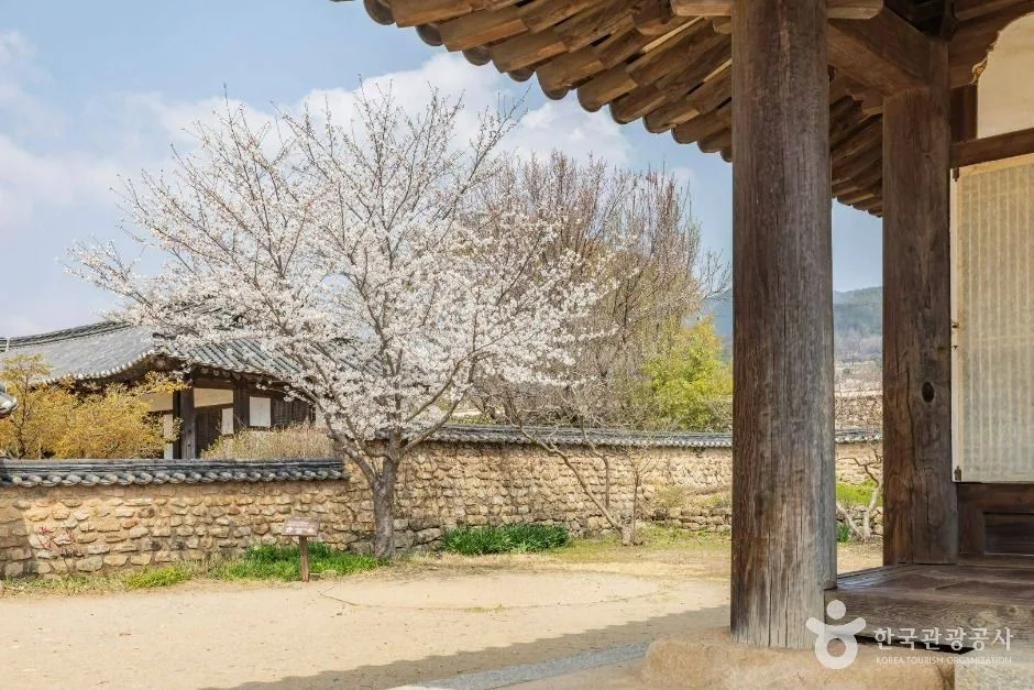 전남광주_순천_순천 낙안읍성_외부_3.jpg