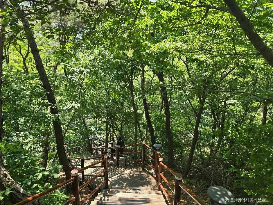 울산_명덕호수공원 (6).jpg