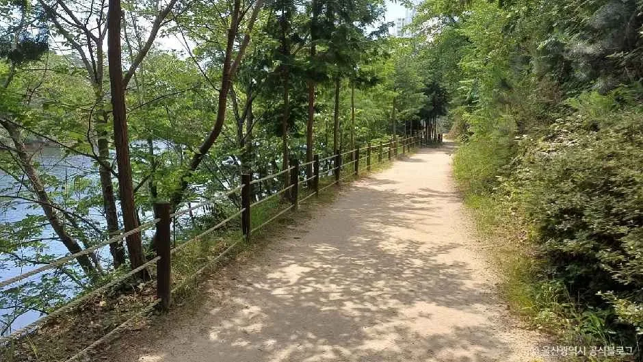 울산_명덕호수공원 (9).jpg