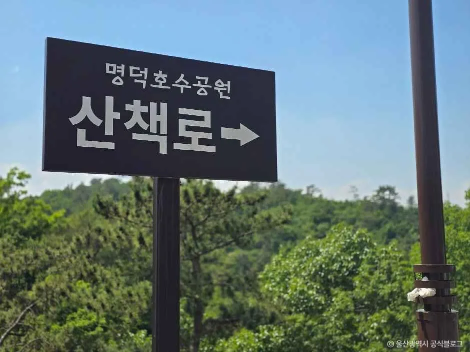 울산_명덕호수공원 (7).jpg
