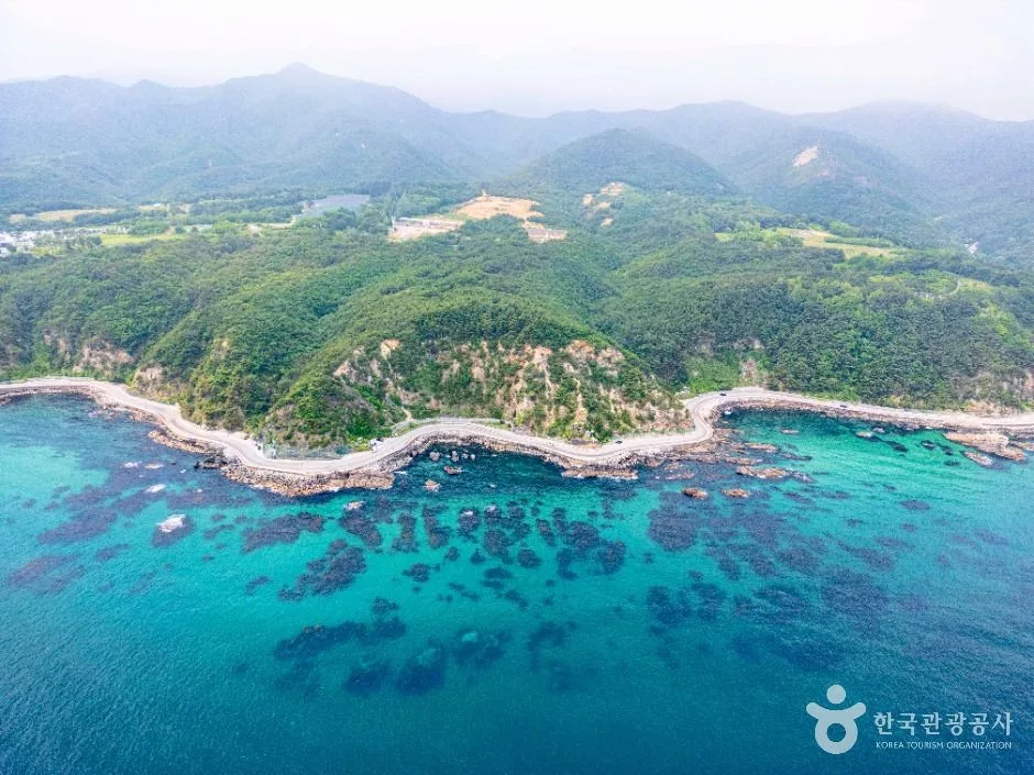헌화로