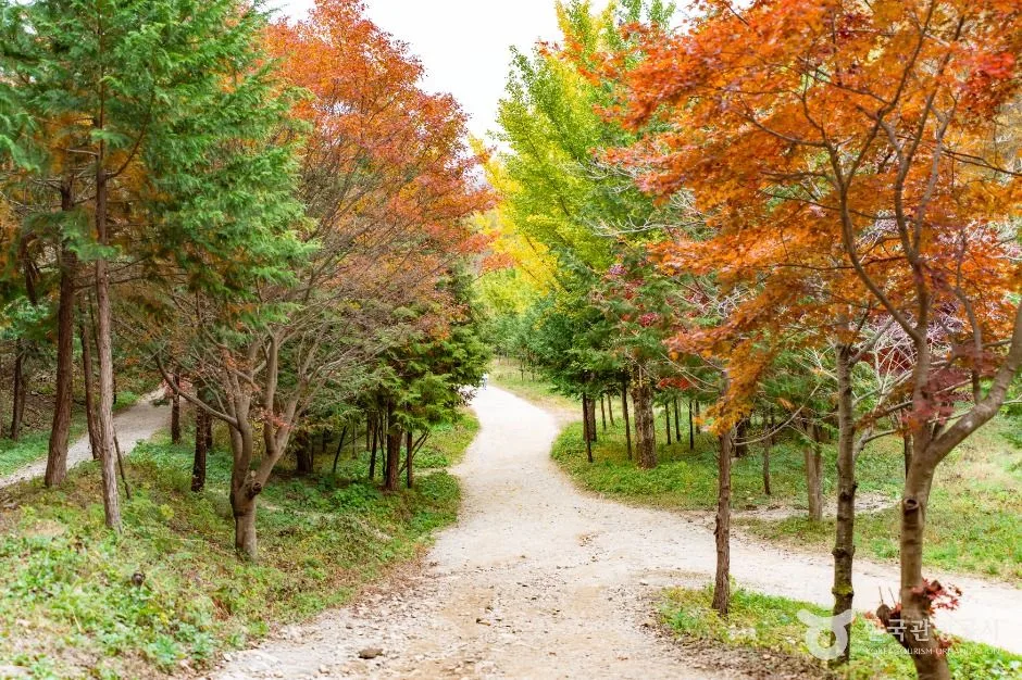 논산_온빛자연휴양림 (1)