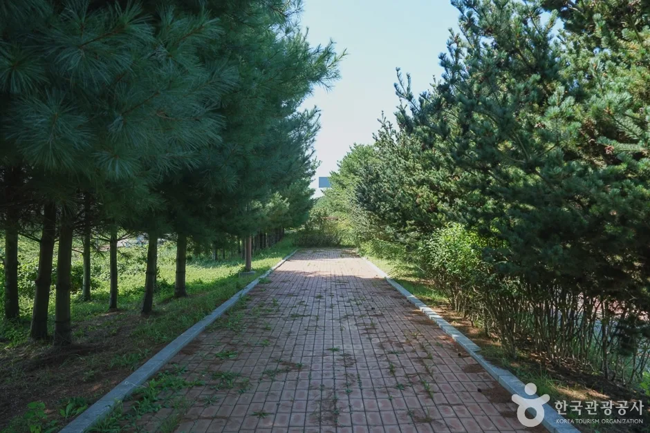 N02100_인천_중구_미단씨티1호공근린공원(7)