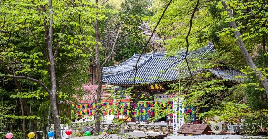 홍룡사(양산)