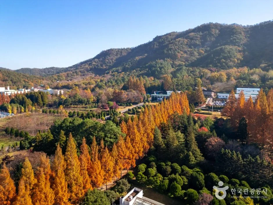 나주_전라남도 산림연구원 (4)