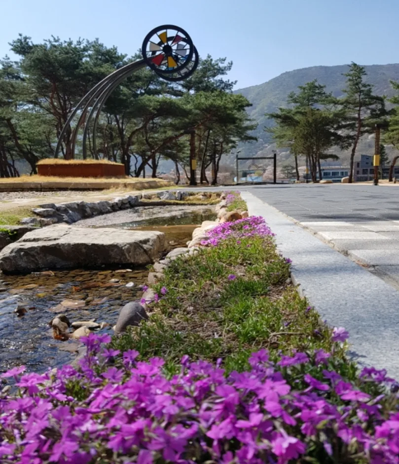 문경오미자테마터널 (3)