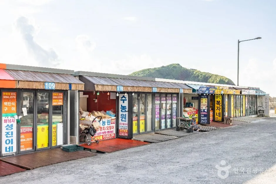 제주_자구내포구 (2)