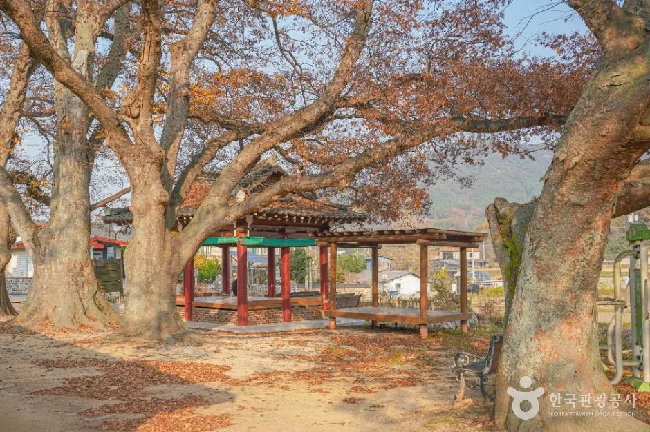 영광_영광 용암마을 (4)