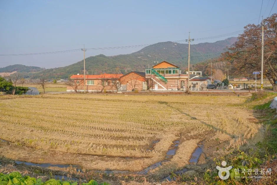 영광_영광 용암마을 (7)