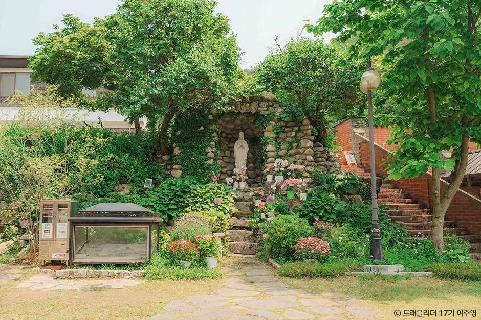 샤스타데이지 명소부터 루지 체험까지! 평창·횡성 여행 추천_풍수원성당_5-4