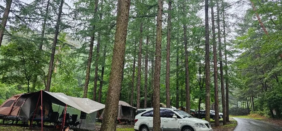 국립청옥산자연휴양림 (2)