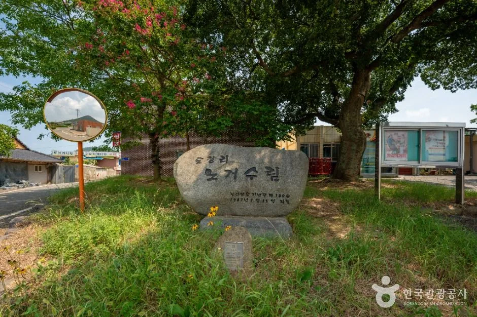 신안_장산도 (2)