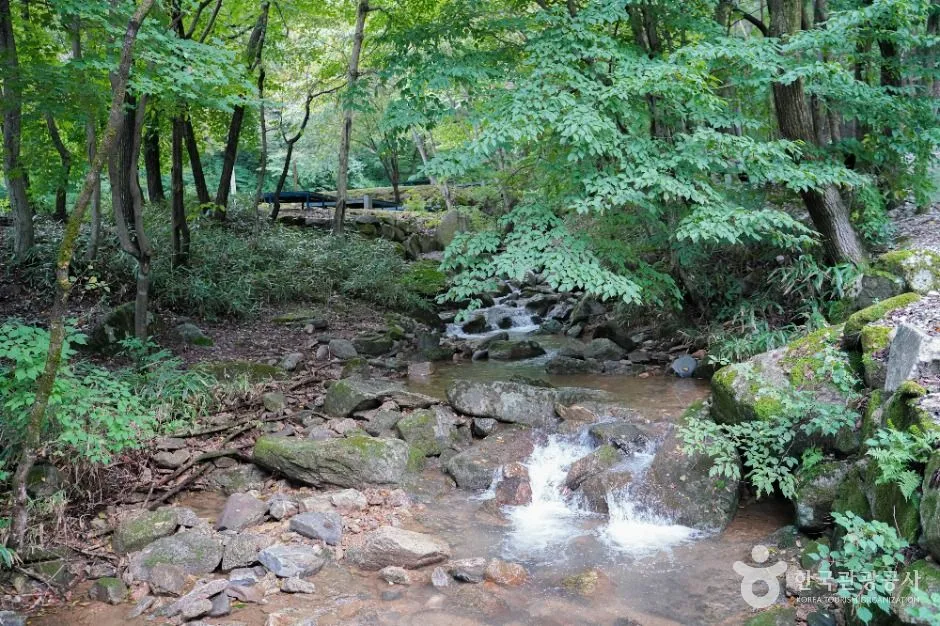장수_와룡자연휴양림 (3)