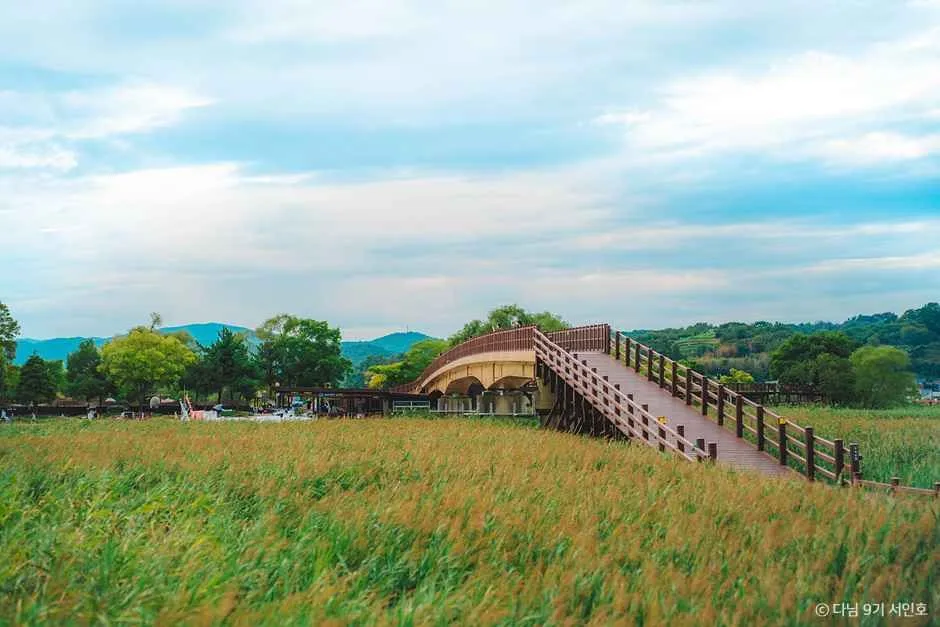 순천_순천만탐사선 (1).jpg