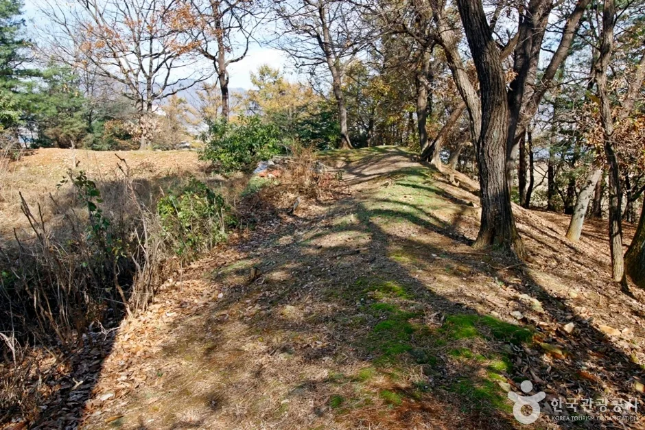 충주 견학리 토성 (14)