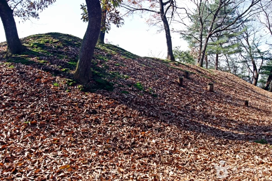 충주 견학리 토성 (5)