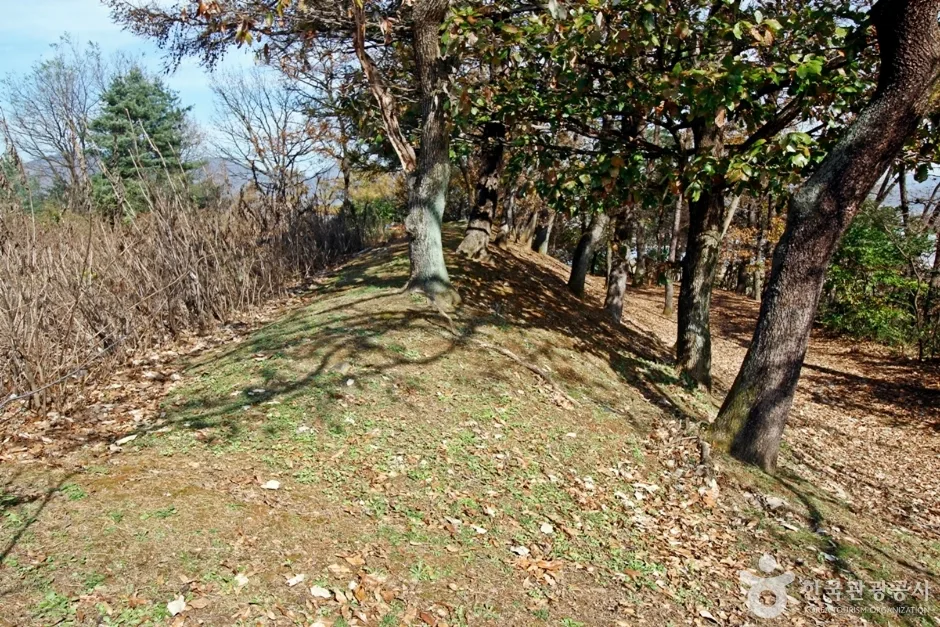 충주 견학리 토성 (10)