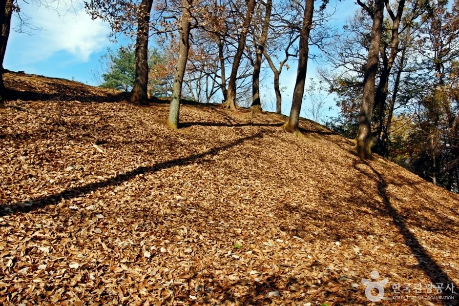 충주 견학리 토성 (7)