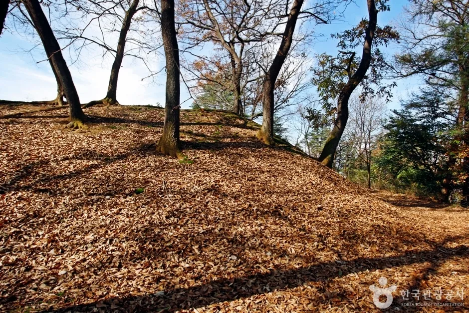 충주 견학리 토성 (6)