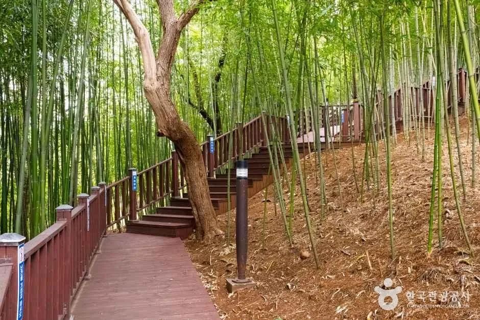 강원_삼척_이사부사자공원_5.jpg