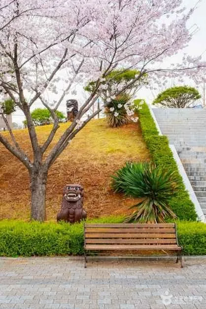 삼척_이사부사자공원&그림책 나라 (7)