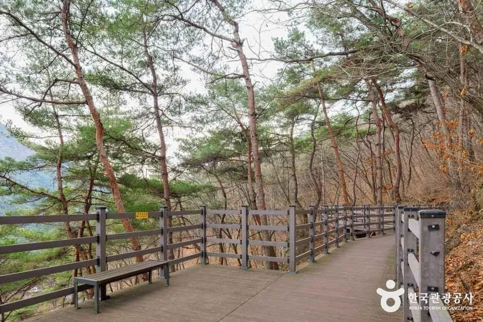 충북_괴산_성불산자연휴양림_외부_2.jpg